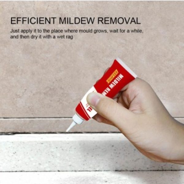 Mold Remover Paste