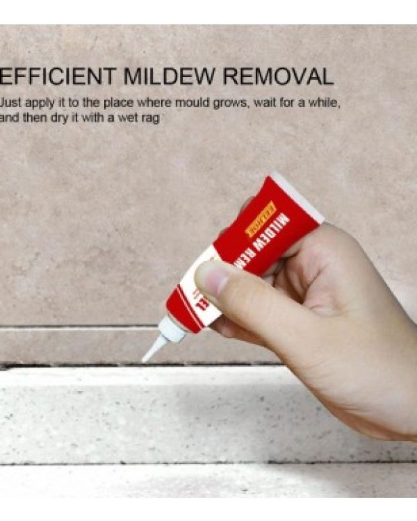 rapid-mold-removal07